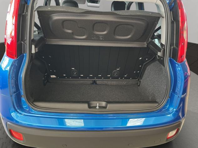 FIAT Pandina Pandina 1.0 firefly hybrid Icon s&s 65cv - Foto 6