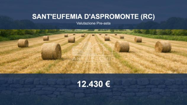 Immobile in asta di 22100 m² in vendita a Sant'Eufemia d'Aspromonte