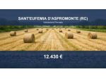 Immobile in asta di 22100 m² in vendita a Sant'Eufemia d'Aspromonte
