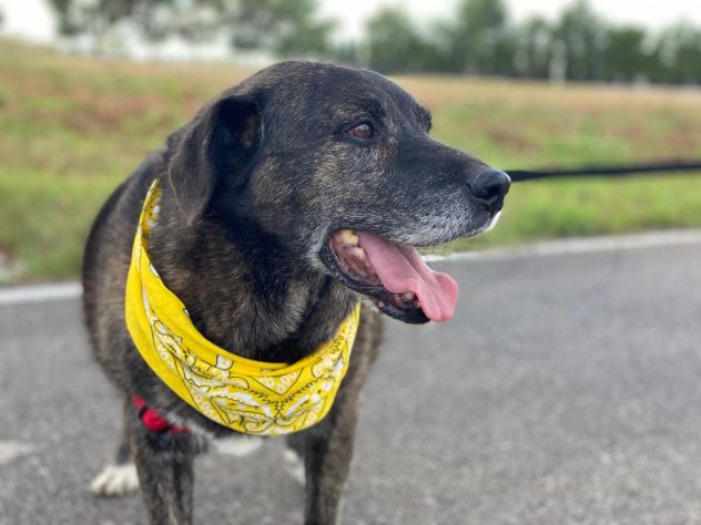 Igor per 10 anni ha vissuto da solo in una campagna - Foto 7