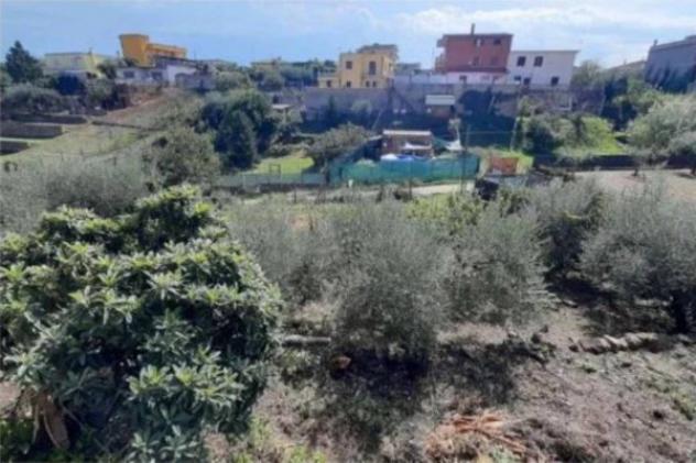 Immobile in asta di 361 m² con più di 5 locali in vendita a Ardea - Foto 2