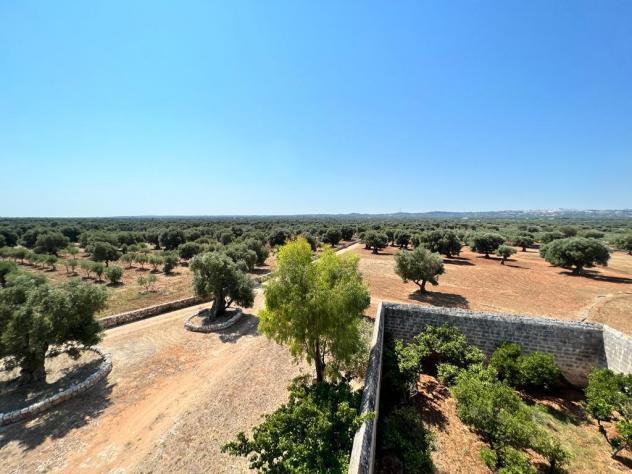 Casale in vendita a Ostuni - Foto 10