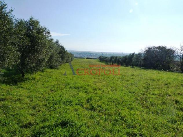 Terreno Edificabile - Rif. 2489 - Foto 13