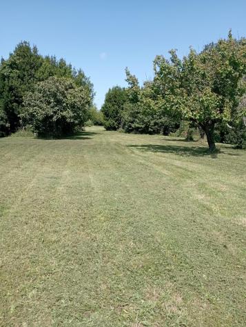 Terreno agricolo in vendita a La Vettola - Pisa 3650 mq Rif: 1275725