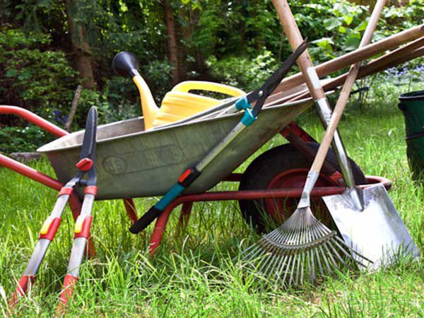 Lavori di Giardinaggio - Foto 3