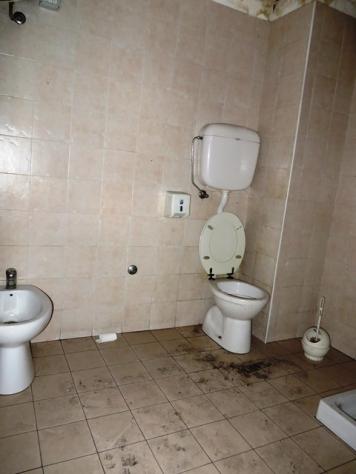 Capannone a Longiano - Rif. - Foto 8
