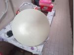Antenna 4G FWA cat 8
