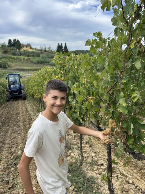 Trattorista - operaio specializzato in azienda agricola - Foto 4