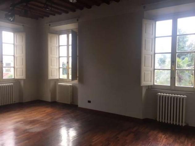 fondo capa 1800 - Ufficio a Capannori - Capannori centro - Foto 6
