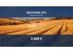 Immobile in asta di 2600 m² in vendita a Nicotera