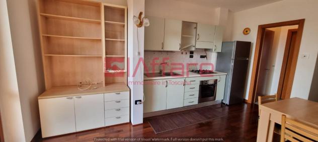 Appartamento in affitto a Calcinaia 30 mq Rif: 1256427 - Foto 4
