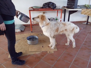 TOTO', dolce mix maremmano - Foto 2