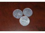 Monete Repubblica Italiana - 10 £ Olivo -