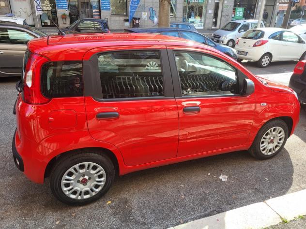 Fiat Panda 1.0 FireFly S&S Hybrid - Foto 2