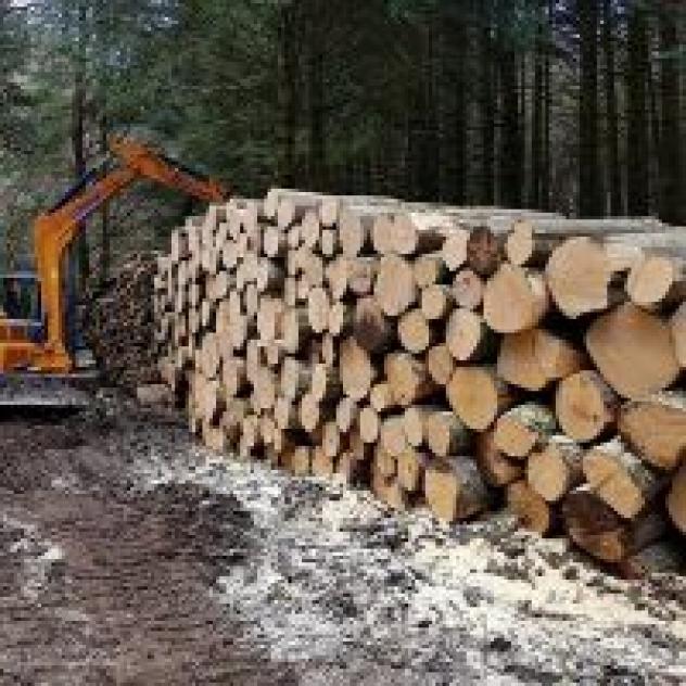 Lacaria Legnami - Foto 3