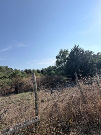 Agricolo in vendita a Aprilia - Foto 17