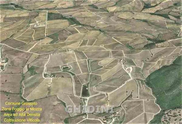 TERRENO AGRICOLO di 1 vani e di 56000 mq (GROSSETO) rif. 2259.159M - Foto 4