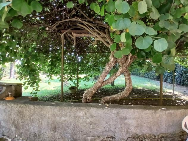 Bifamiliare in vendita a Campagnano di Roma - Foto 9