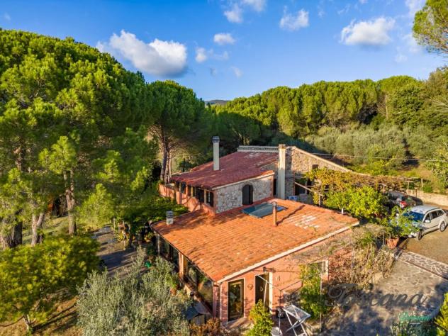 Casale in vendita a Roccatederighi - Roccastrada 390 mq Rif: 1424454 - Foto 5