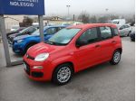 FIAT PANDA 1.0 BENZINA HYBRID 2022