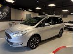 Ford Galaxy Galaxy 2.0 ecoblue Titanium Business awd s&s 150cv my19