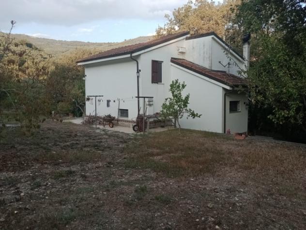VENDESI A CHIUSAVECCHIA CASA INDIPENDENTE IN OTTIMO STATO CON GARAGE E GRANDE TERRENO DI OLTRE 4000 MQ - Foto 2