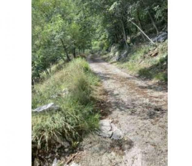206/2025 2 BS - Terreni in asta in zona collinare a Botticino - Foto 11