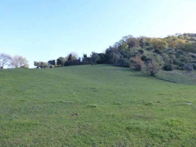 Immobile in asta di 6430 m² in vendita a Casignana - Foto 6