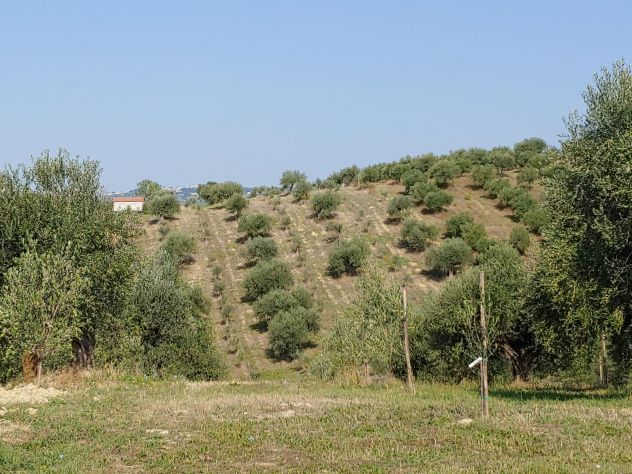 Terreno e casolare Città Sant'Angelo - Foto 6