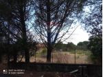 Terreno Edificabile in vendita a Pedara