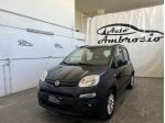FIAT Panda Panda 1.2 Lounge s&s 69cv