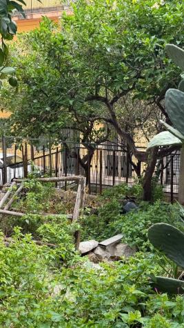 Appartamento in affitto a Modica - Foto 9