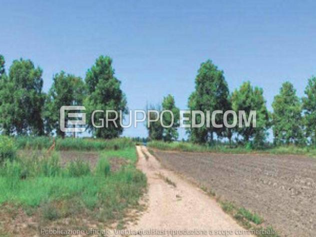 Terreno in vendita a Codigoro - Rif. 4551917