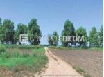 Terreno in vendita a Codigoro - Rif. 4551917