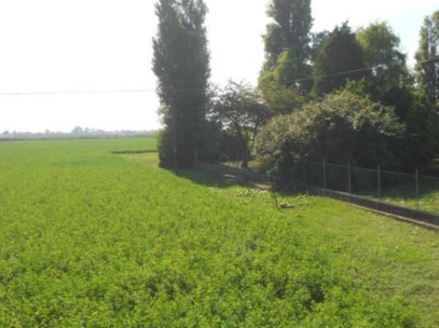 Immobile in asta di 53493 m² in vendita a Porto Tolle - Foto 9