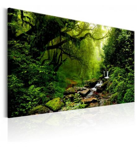 Quadro Foresta Tropicale 90x60 E 120x80 ARREDALACASA