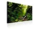 Quadro Foresta Tropicale 90x60 E 120x80 ARREDALACASA