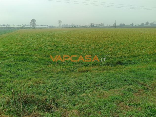 TERRENO AGRIOLO PIANEGGIANTE CON ACCESSO DIRETTO - Foto 4
