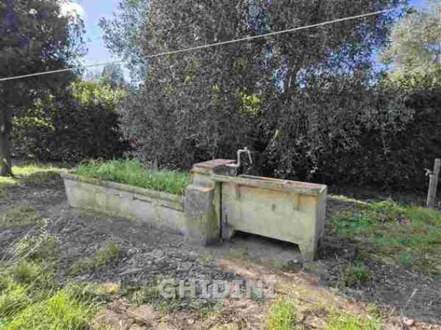 COLONICA di 9 vani e di 250 mq (ORBETELLO - FONTEBLANDA) rif. 2473.500M - Foto 16