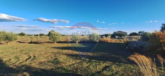 Terreno in vendita a Rosolini - Foto 8