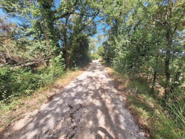 Immobile in asta di 16930 m² in vendita a Todi - Foto 6