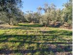 Terreno Residenziale - Lucignano . Rif.: 33493