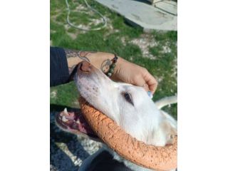 Casper