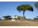 Masseria storica del 1800