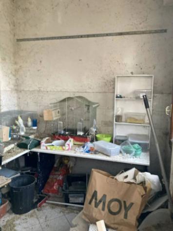 Immobile in asta di 111 m² in vendita a Scandicci - Foto 11