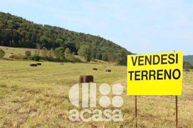 AZIENDA AGRICOLA IN COLLINA