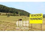 AZIENDA AGRICOLA IN COLLINA