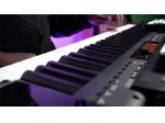 Pianista a Cardano Al Campo