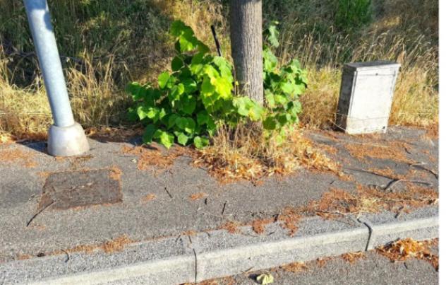 Immobile in asta di 485 m² in vendita a Bertinoro - Foto 11