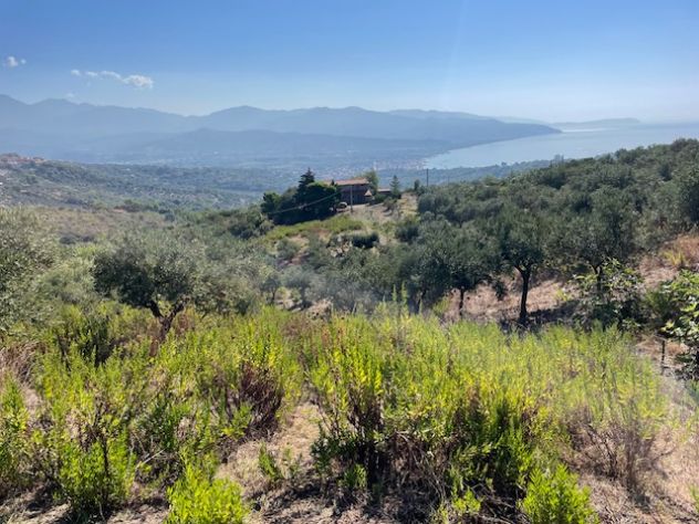 Casal Velino a 3 Km dal mare terreno mq 6.650 - Foto 3